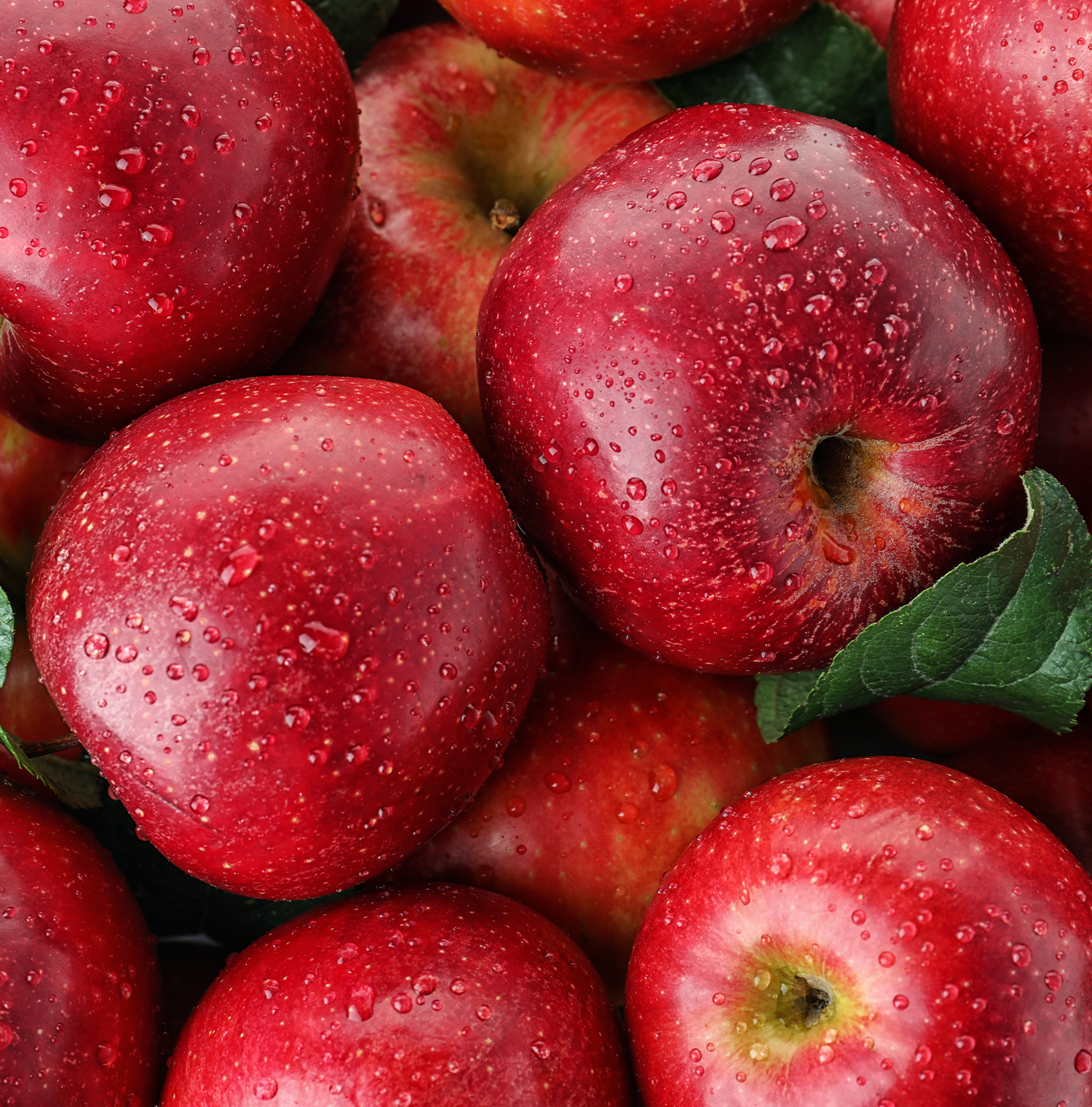 A close up image of several apples, some with drops of water on them.