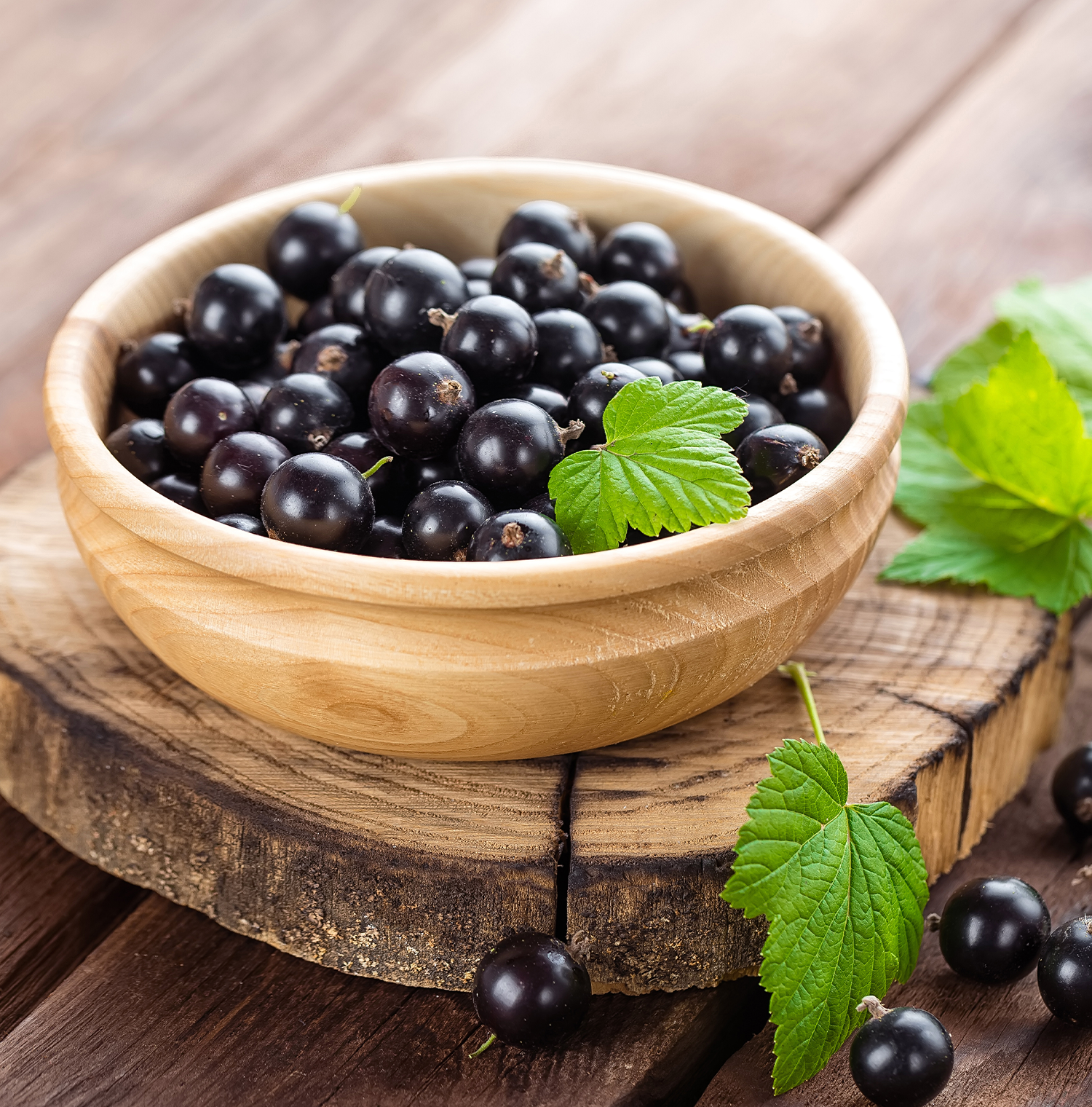 Black Currants in a bowl