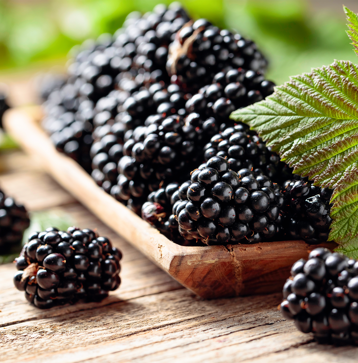 Close up image of Blackberries on a wooden tray on a wooden table.