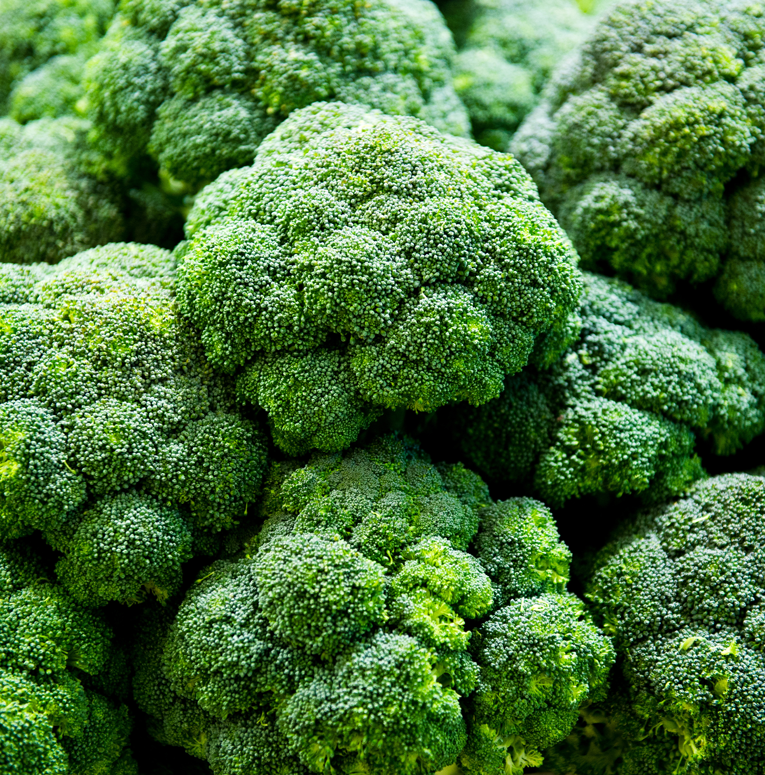 Close up image of Broccolis