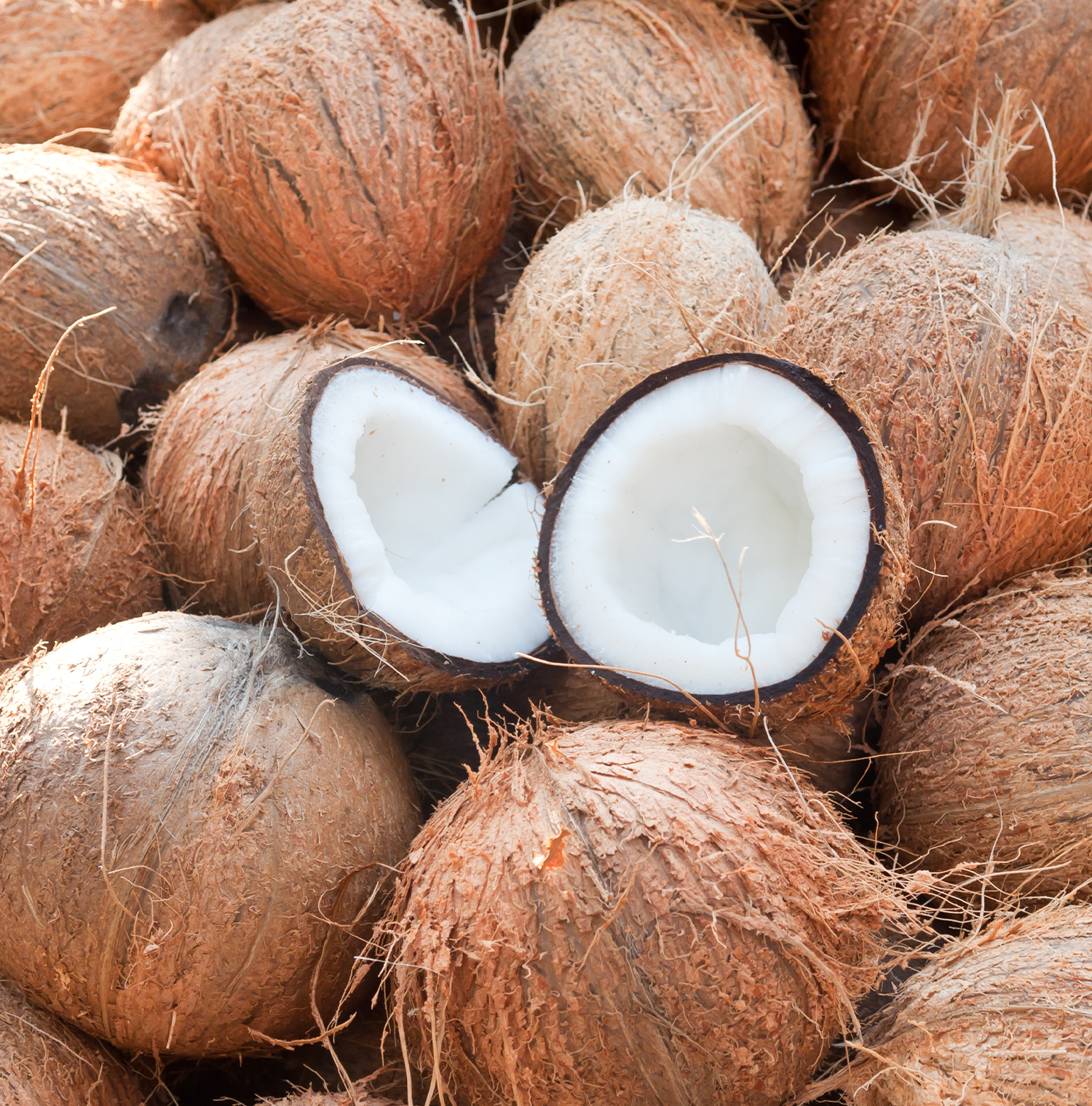 A bunch of coconuts. One is broken in half, revealing the white pulp inside.