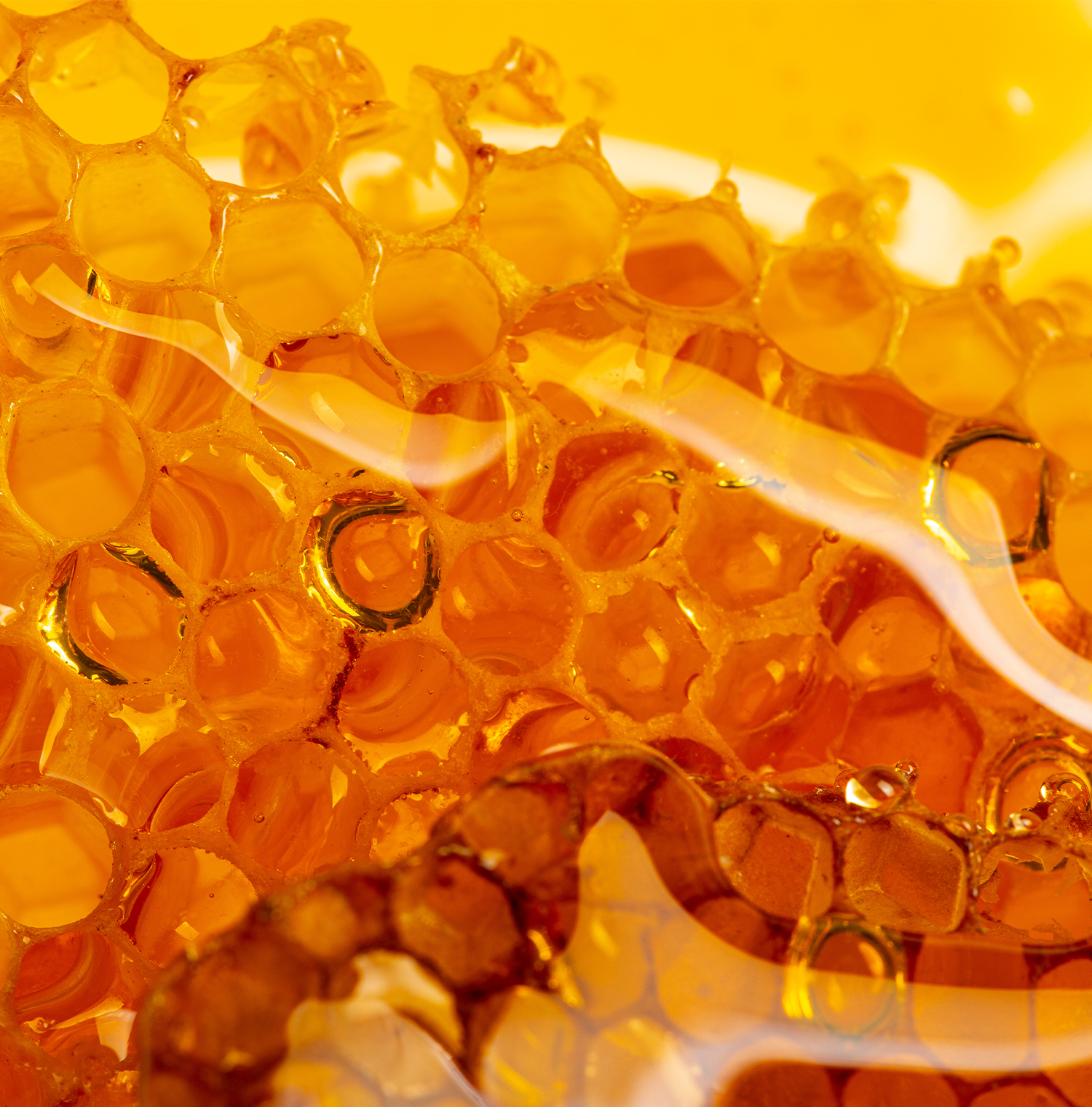 Close up image of a honeycomb soaked in honey