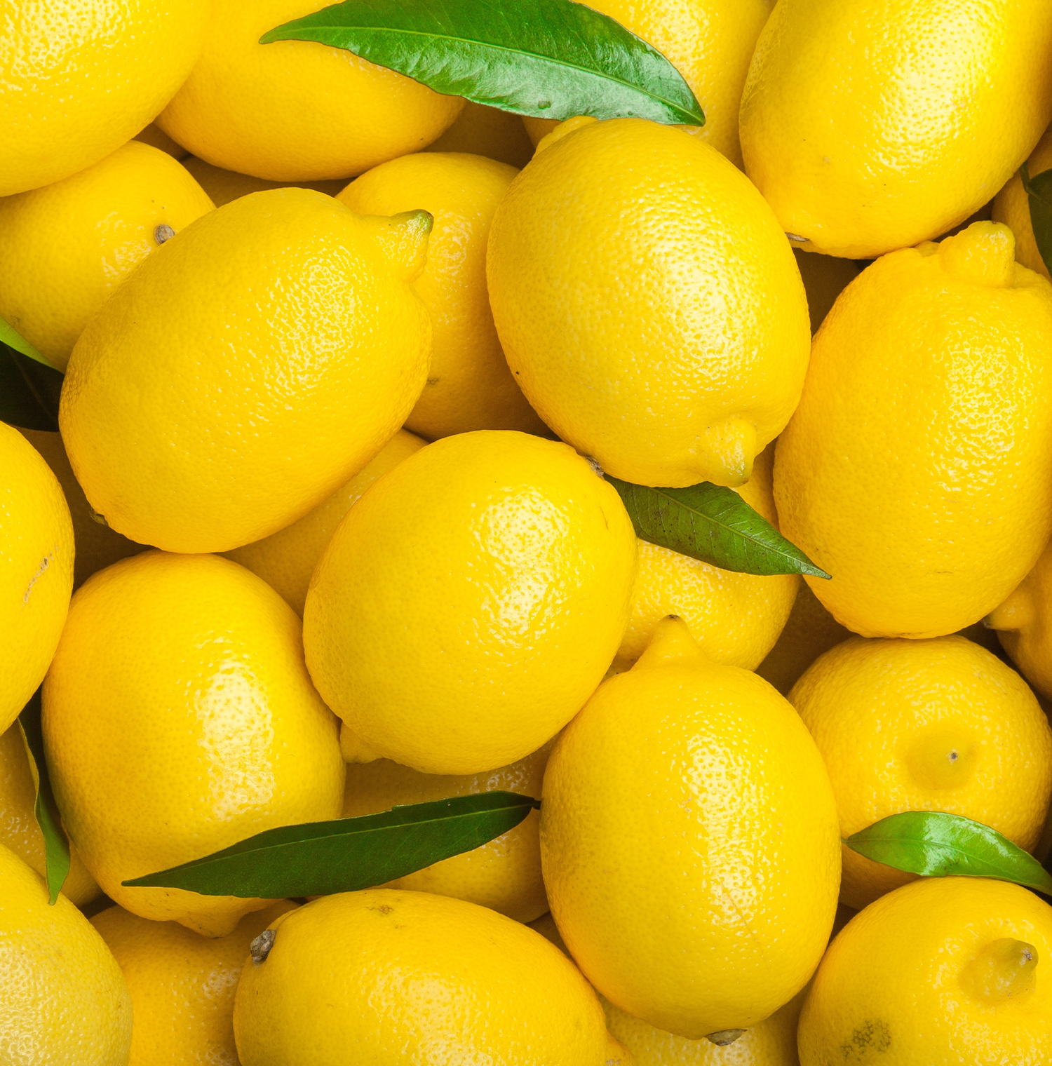 Close up image of lemons