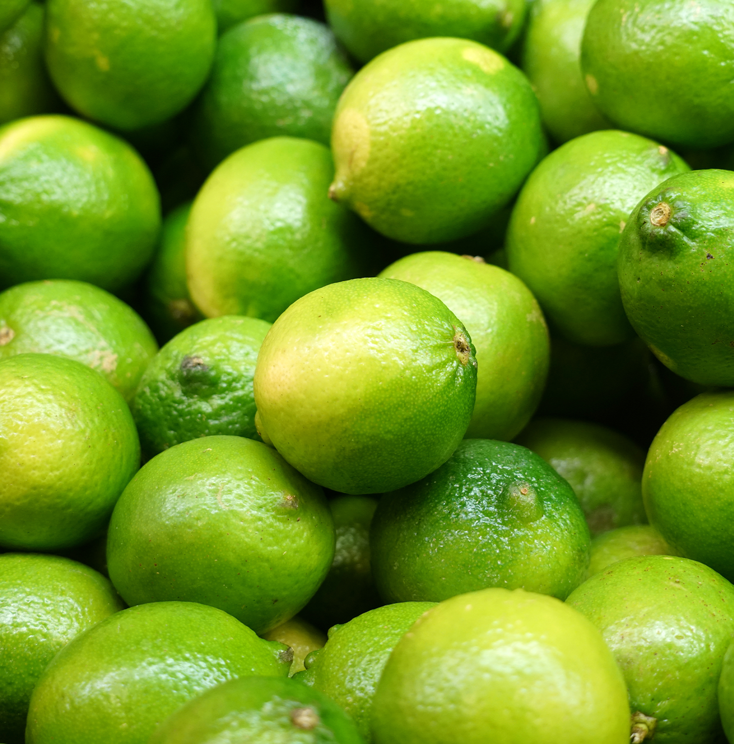 Close up image of whole limes