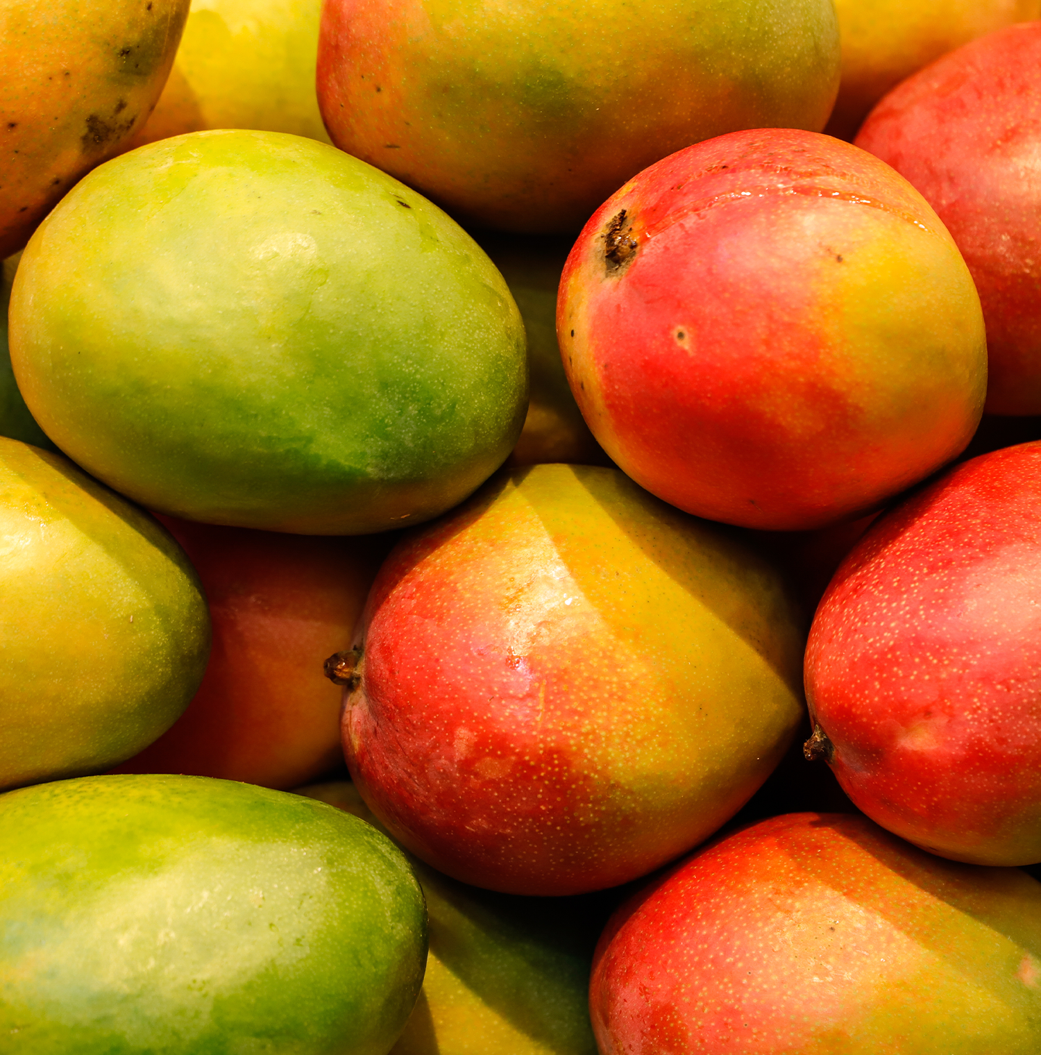 Close up image of whole mangoes