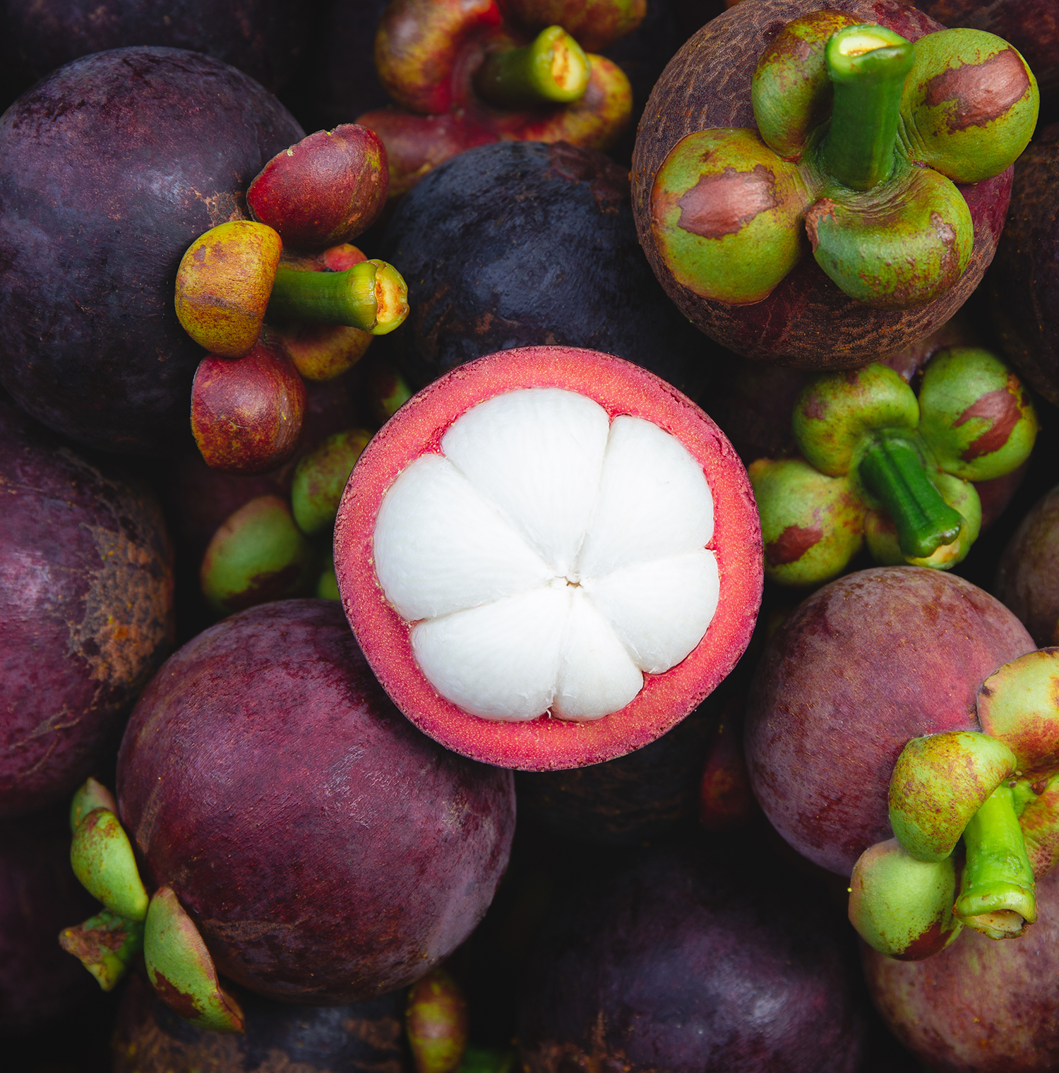 Close up image of mangosteen fruit. One is cut in half, revealing the white pulp.