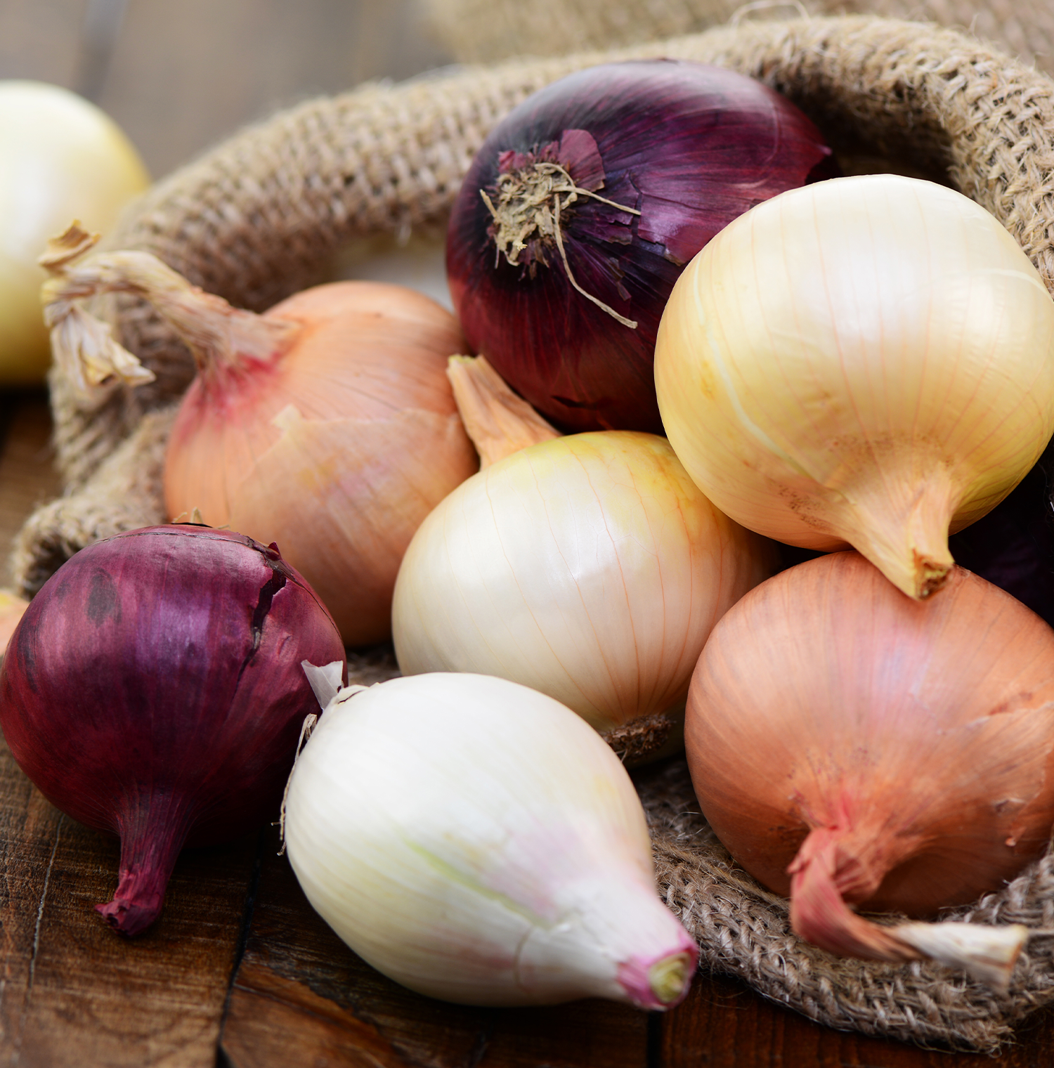 A burlap sack filled with multicolored onions