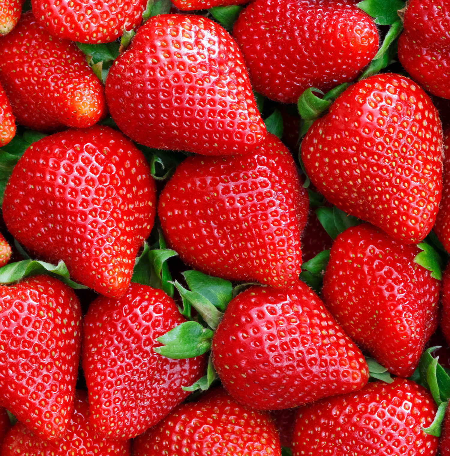 A close up image of several strawberries.